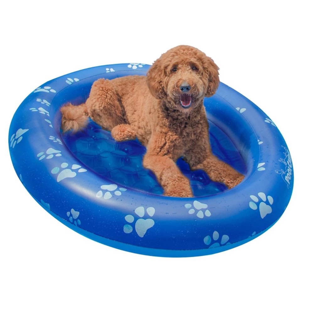 Pool Candy Dog Pool Float and Lounger - Picture 2 of 3